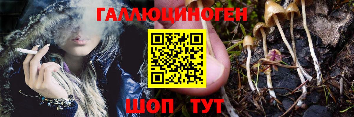 Галлюциногенные грибы GOLDEN TEACHER  Вход с VPN  Железногорск 